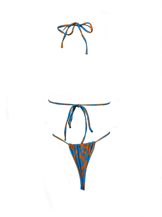 Saskia Two Piece Bikini